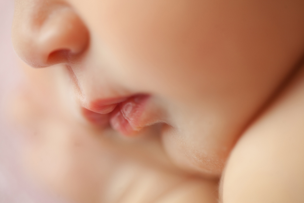 Cape Breton newborn photography