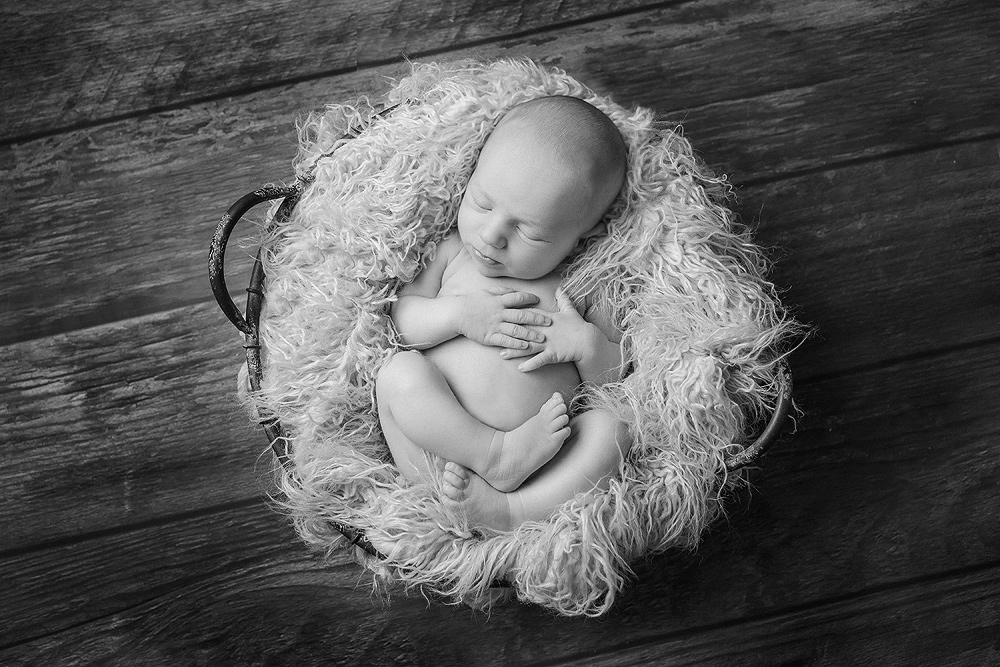 Cape Breton Newborn Photography