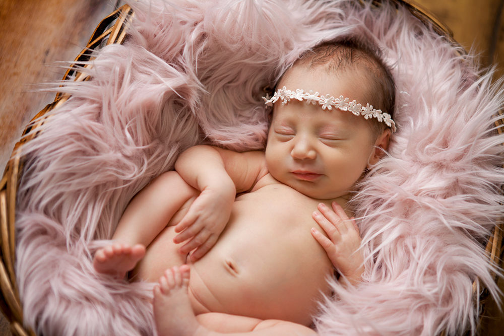 Cape Breton newborn photography